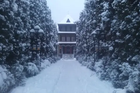 Борщівське лісництво чортківського лісового господарства