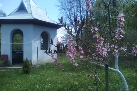 Борщівське лісництво чортківського лісового господарства — фото 2