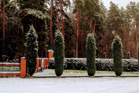 Держлісгосп — фото 2