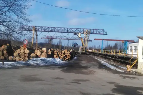 Крижопільське лісове господарство