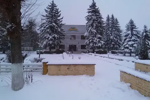 Державне підприємство "Цуманське лісове господарство"