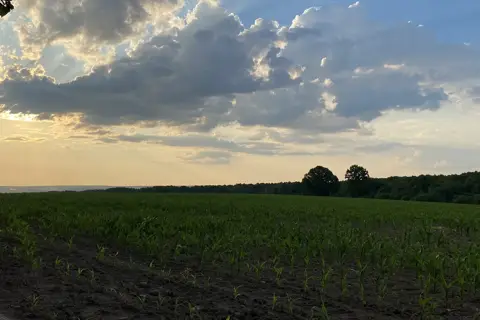 Гайсинське лісництво