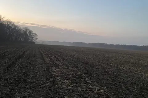 Гайсинське лісництво — фото 4