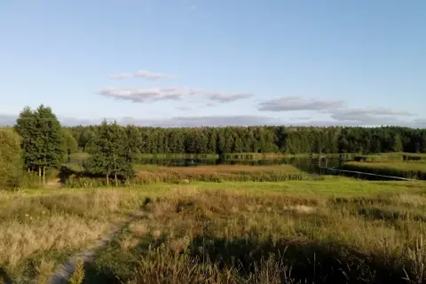 Ворсівське лісництво