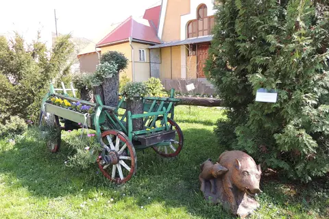 Державне підприємство Виноградівське лісове господарство