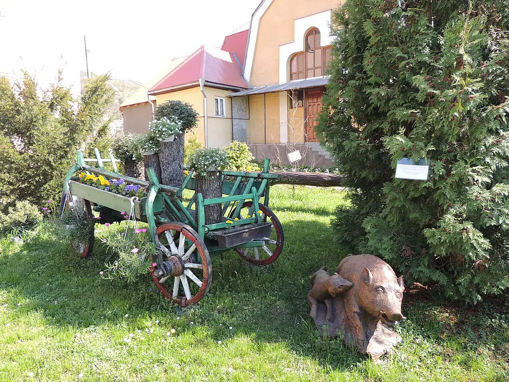 Державне підприємство Виноградівське лісове господарство