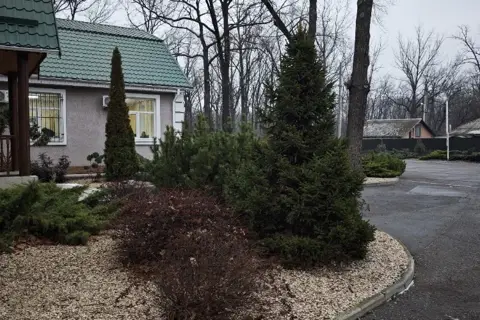 Дп полтавське лісове господарство