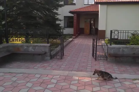 Дп уманське лісове господарство — фото 4