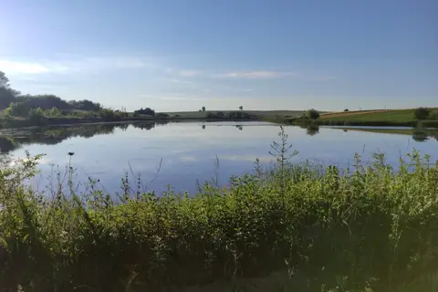 Берег для риболовлі грядівсько-кропивського ставку — фото 4