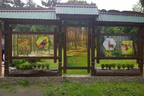 Філія "Сумське лісове господарство"