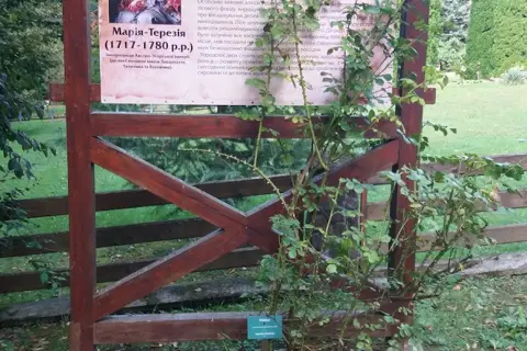 ДП "Ужгородське лісове господарство" — фото 3