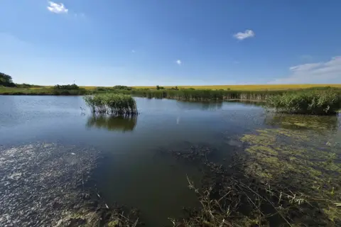 Рибалка Сінгури — фото 4