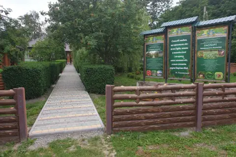 Іванівецьке лісництво, ДП"Сокирянське лісове господарство"