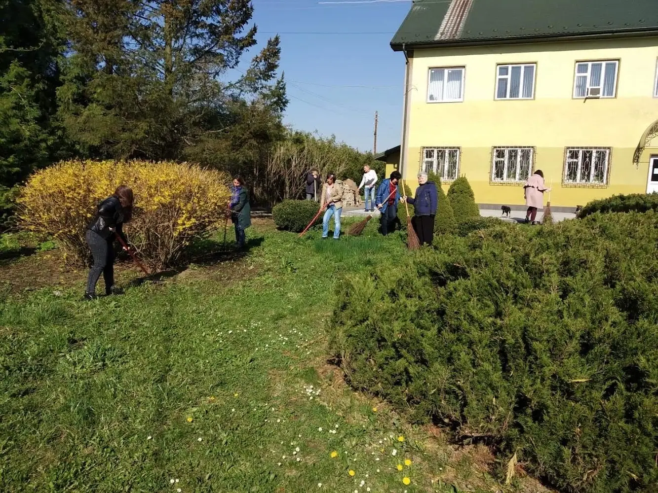 Коломийське надлісництво Філії "Карпатський лісовий офіс" ДП "Ліси України"