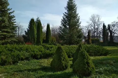 Коломийське надлісництво Філії "Карпатський лісовий офіс" ДП "Ліси України" — фото 3