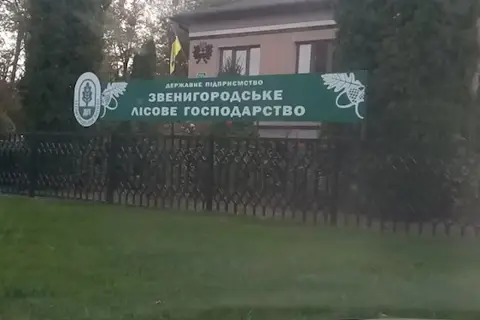 Лісове господарство звенигородське дп