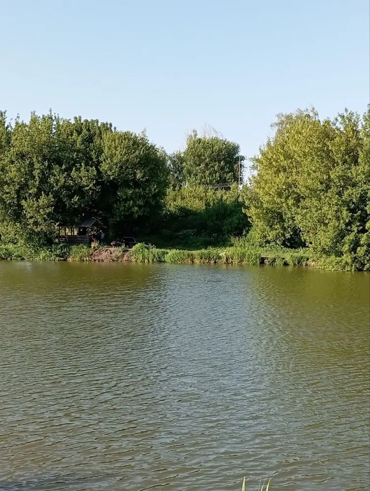 Риболовля с.Терешківці (Терешківці)