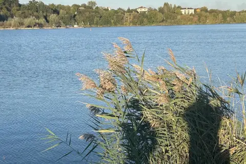 Місце Рибне — фото 2