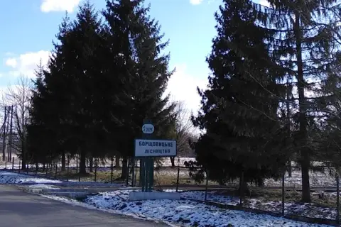ДП "Львівський лісгосп" Борщовицьке лісництво