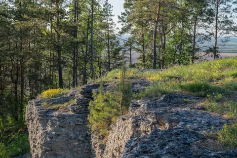 Дівочі скелі