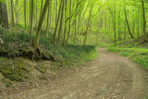 Дівочі скелі — фото 5