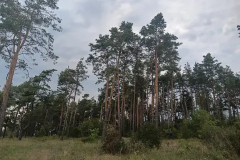 Дівочі скелі — фото 6