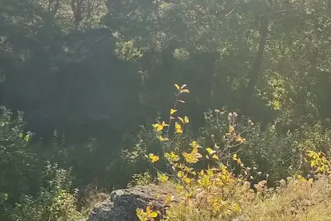 Дівочі скелі — фото 8