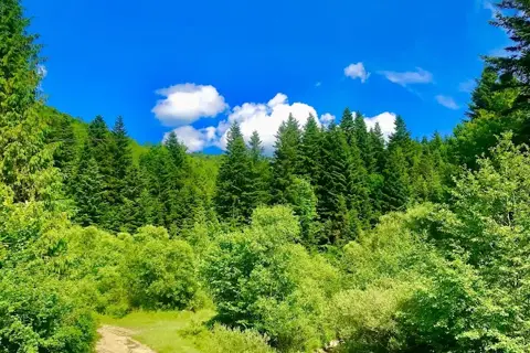 Водоспад Сопіт — фото 9