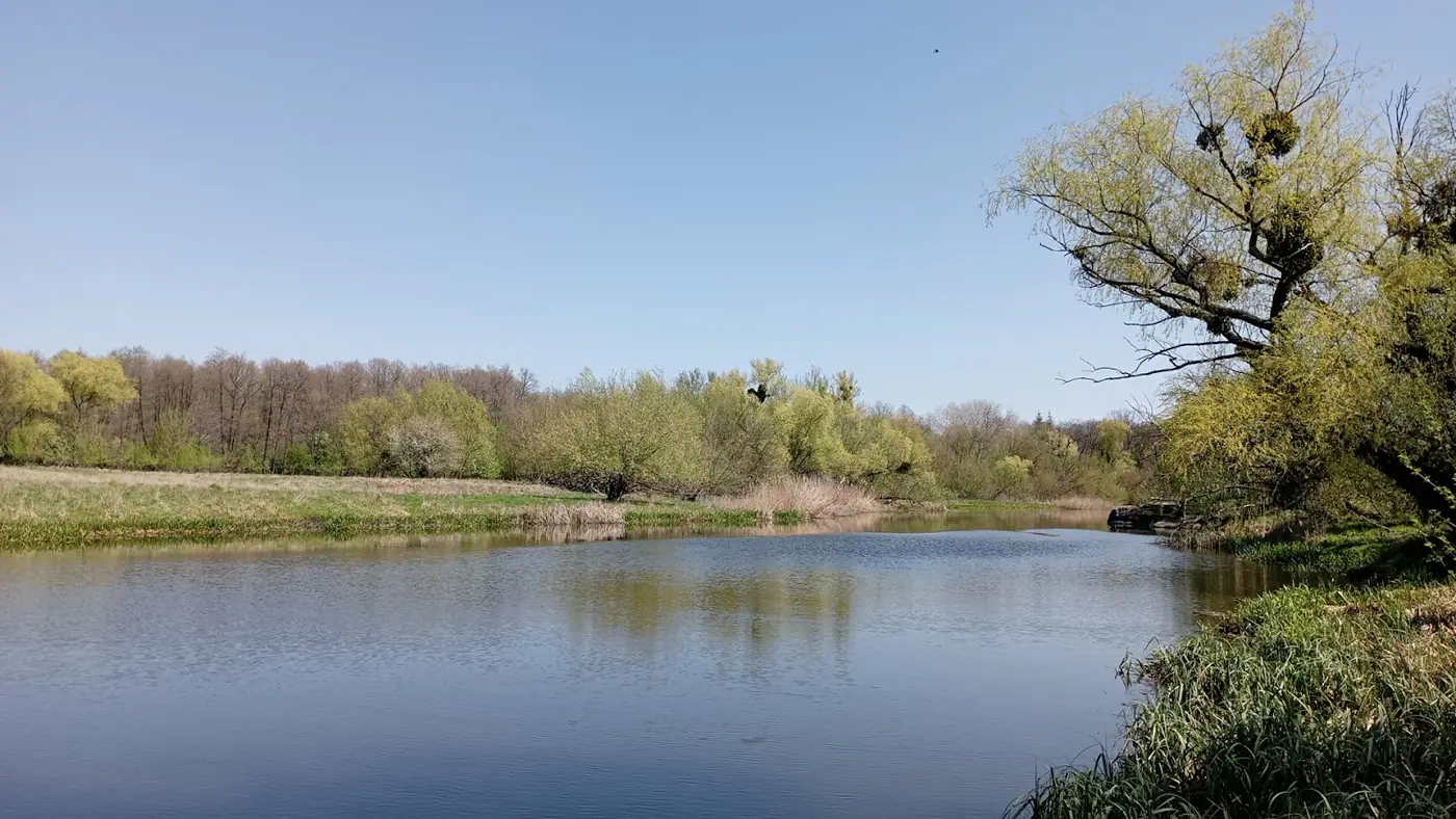 Скелі Острова