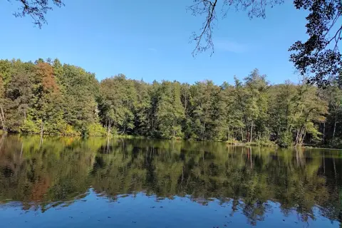 Шелехівське озеро