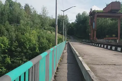 Заповідні дуби — фото 2