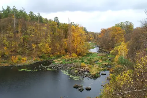 Заповідні дуби — фото 5