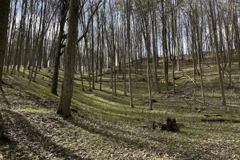 Уро́чище «Пе́кло»