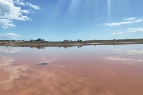 Озеро Геничеське — фото 8