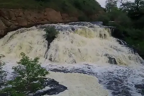 Вчелька — фото 8