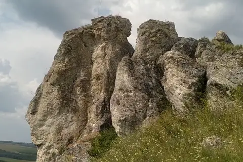 Бакота Колодіївка — фото 2