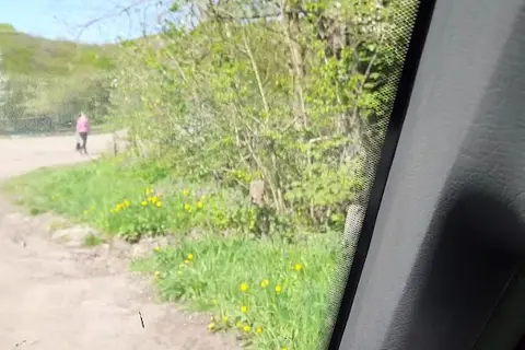 Старе озеро — фото 2