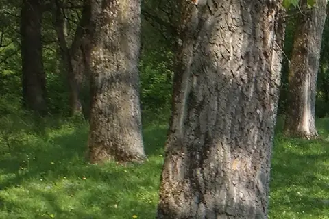Старе озеро — фото 10