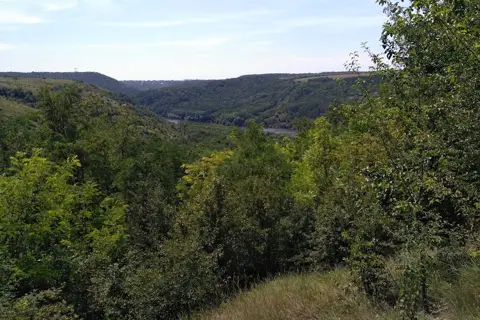 Урочище Окунь — фото 4