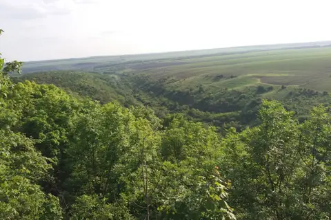Скеля (Нігин)