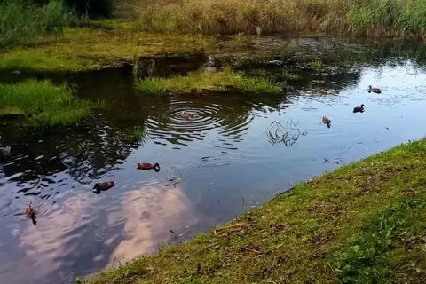 Піскові озера — фото 8