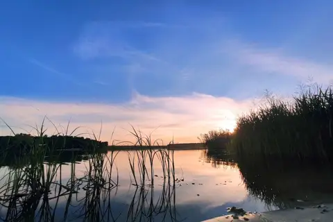 Козівський став