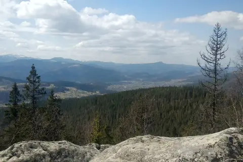 гора Камінь / Шугаїв Ґорґан / Ґорґан Гундяківський (1076,7 м.) — фото 3