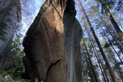гора Камінь / Шугаїв Ґорґан / Ґорґан Гундяківський (1076,7 м.) — фото 4