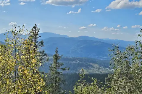гора Камінь / Шугаїв Ґорґан / Ґорґан Гундяківський (1076,7 м.) — фото 5