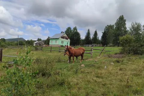 гора Камінь / Шугаїв Ґорґан / Ґорґан Гундяківський (1076,7 м.) — фото 6