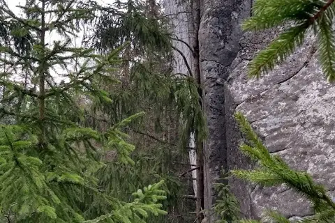 гора Камінь / Шугаїв Ґорґан / Ґорґан Гундяківський (1076,7 м.) — фото 9