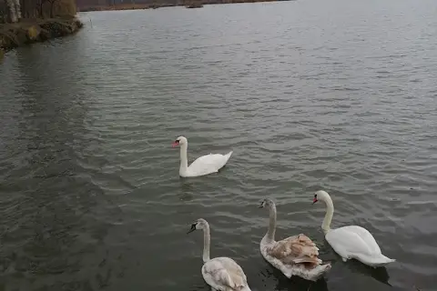 Джуринський водоспад