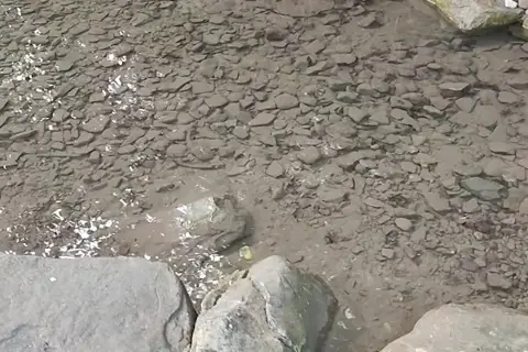 Водоспад "Чотири копитця" — фото 2