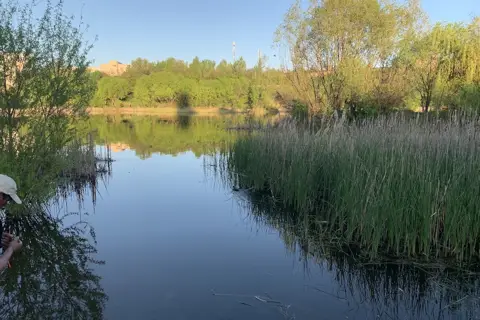 Цегельне